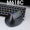 Бездротова вертикальна миша з підсвічуванням Delux M618C RGB Black