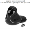 Безшумна бездротова вертикальна миша Delux M618 Plus Безшумна бездротова вертикальна миша Delux M618 Plus