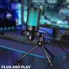 Игровой конденсаторный микрофон FIFINE Ampligame A2 с RGB со штативом для стрима, трансляций, ПК, PS4/5, Mac Игровой конденсаторный микрофон FIFINE Ampligame A2 с RGB со штативом для стрима, трансляций, ПК, PS4/5, Mac
